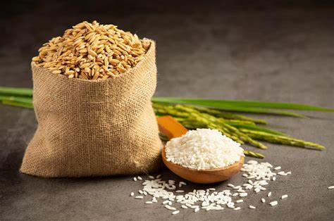 RIZ DE LUX PADDY